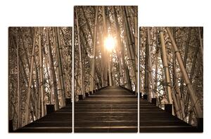 Obraz na plátně - Dřevěná promenáda v bambusovém lese 1172FD (150x100 cm)