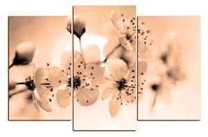 Obraz na plátně - Malé květy na větvi 1173FC (150x100 cm)
