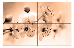 Obraz na plátně - Malé květy na větvi 1173FE (150x100 cm)