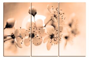 Obraz na plátně - Malé květy na větvi 1173FB (90x60 cm )
