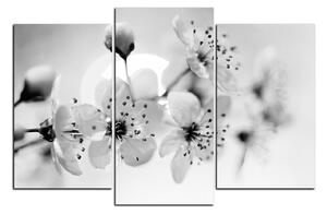 Obraz na plátně - Malé květy na větvi 1173QC (105x70 cm)