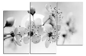 Obraz na plátně - Malé květy na větvi 1173QD (120x80 cm)