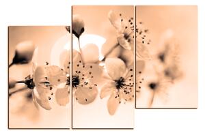 Obraz na plátně - Malé květy na větvi 1173FD (150x100 cm)