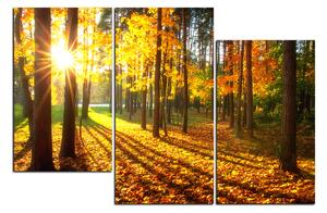 Obraz na plátně - Podzimní les 1176D (150x100 cm)