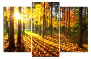 Obraz na plátně - Podzimní les 1176C (90x60 cm)