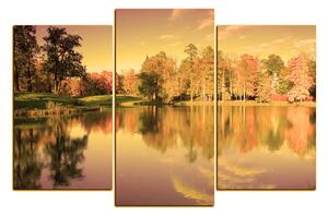Obraz na plátně - Podzimní park 1175FC (90x60 cm)