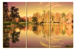 Obraz na plátně - Podzimní park 1175FB (105x70 cm)