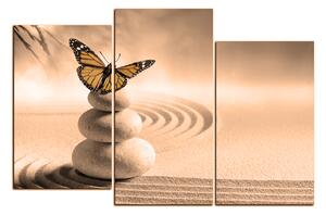 Obraz na plátně - Motýl na spa kameny 1180FC (90x60 cm)