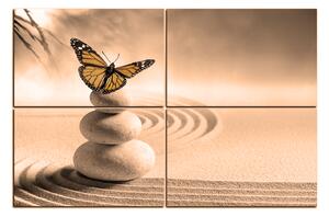 Obraz na plátně - Motýl na spa kameny 1180FD (90x60 cm)