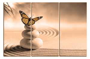 Obraz na plátně - Motýl na spa kameny 1180FB (90x60 cm )