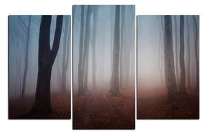 Obraz na plátně - Mlha v lese 1182C (90x60 cm)