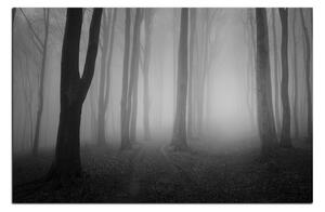 Obraz na plátně - Mlha v lese 1182QA (100x70 cm)