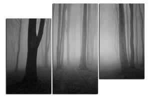 Obraz na plátně - Mlha v lese 1182QD (150x100 cm)