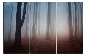 Obraz na plátně - Mlha v lese 1182B (90x60 cm )