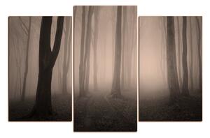 Obraz na plátně - Mlha v lese 1182FC (90x60 cm)