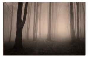 Obraz na plátně - Mlha v lese 1182FA (60x40 cm)