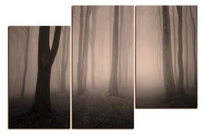 Obraz na plátně - Mlha v lese 1182FD (120x80 cm)