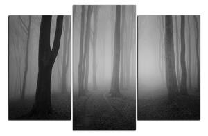 Obraz na plátně - Mlha v lese 1182QC (120x80 cm)
