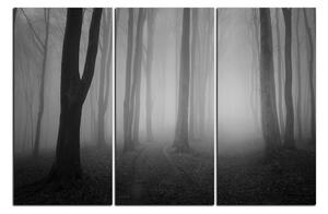 Obraz na plátně - Mlha v lese 1182QB (150x100 cm)