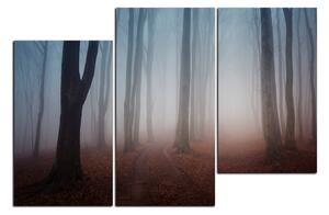 Obraz na plátně - Mlha v lese 1182D (90x60 cm)