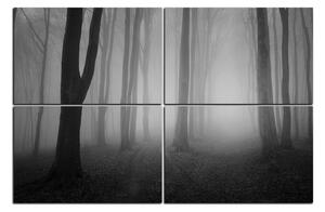 Obraz na plátně - Mlha v lese 1182QE (150x100 cm)