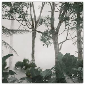 Obraz - Jungle v ranní mlze (30x30 cm)