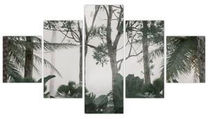 Obraz - Jungle v ranní mlze (125x70 cm)