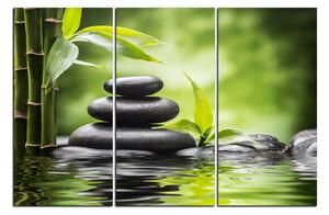 Obraz na plátně - Zen kameny a bambus 1193B (90x60 cm )