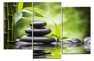 Obraz na plátně - Zen kameny a bambus 1193D (150x100 cm)