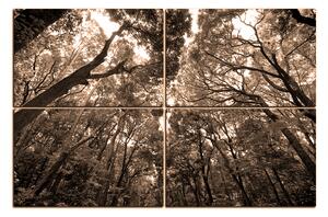 Obraz na plátně - Zelené stromy v lese 1194FE (120x80 cm)