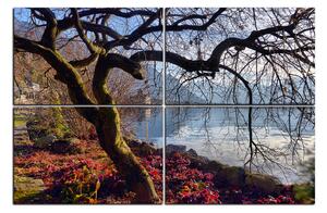 Obraz na plátně - Podzim u jezera 1198E (90x60 cm)