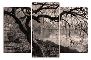 Obraz na plátně - Podzim u jezera 1198QC (120x80 cm)