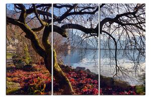 Obraz na plátně - Podzim u jezera 1198B (120x80 cm)