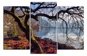 Obraz na plátně - Podzim u jezera 1198C (90x60 cm)