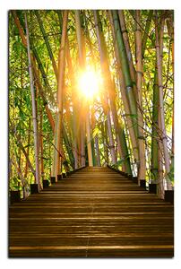 Obraz na plátně - Dřevěná promenáda v bambusovém lese - obdélník 7172A (60x40 cm)