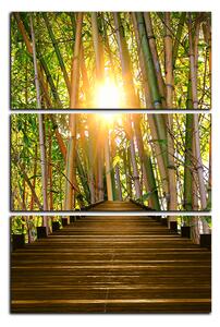 Obraz na plátně - Dřevěná promenáda v bambusovém lese - obdélník 7172B (90x60 cm )