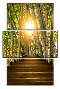 Obraz na plátně - Dřevěná promenáda v bambusovém lese - obdélník 7172C (90x60 cm)