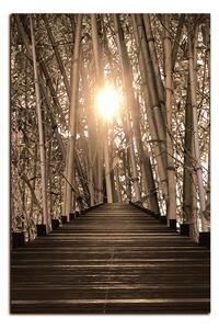 Obraz na plátně - Dřevěná promenáda v bambusovém lese - obdélník 7172FA (120x80 cm)