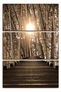 Obraz na plátně - Dřevěná promenáda v bambusovém lese - obdélník 7172FB (90x60 cm )