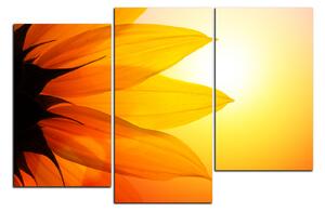 Obraz na plátně - Slunečnice květ 1201D (120x80 cm)