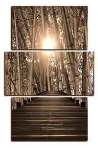 Obraz na plátně - Dřevěná promenáda v bambusovém lese - obdélník 7172FC (120x80 cm)