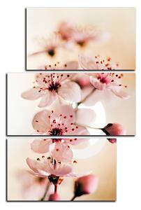 Obraz na plátně - Malé květy na větvi - obdélník 7173D (120x80 cm)
