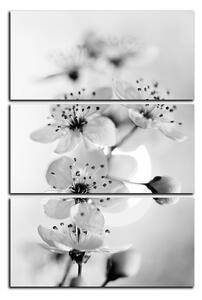Obraz na plátně - Malé květy na větvi - obdélník 7173QB (90x60 cm )