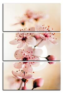 Obraz na plátně - Malé květy na větvi - obdélník 7173B (90x60 cm )