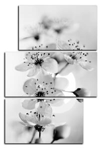 Obraz na plátně - Malé květy na větvi - obdélník 7173QD (90x60 cm)