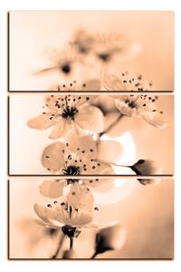 Obraz na plátně - Malé květy na větvi - obdélník 7173FB (90x60 cm )
