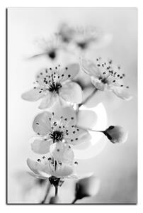 Obraz na plátně - Malé květy na větvi - obdélník 7173QA (120x80 cm)