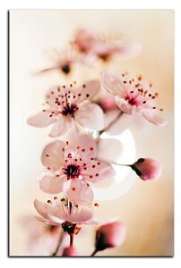 Obraz na plátně - Malé květy na větvi - obdélník 7173A (60x40 cm)