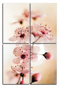 Obraz na plátně - Malé květy na větvi - obdélník 7173E (120x80 cm)