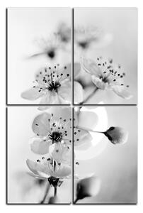 Obraz na plátně - Malé květy na větvi - obdélník 7173QE (120x80 cm)